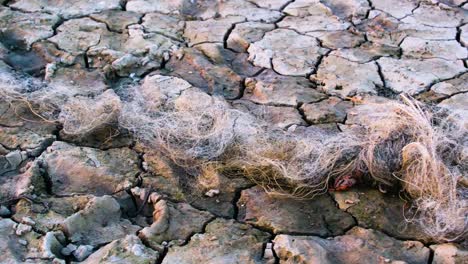 la sequía, las redes de pesca abandonadas, el cambio climático, el impacto de la tierra, el suelo agrietado.