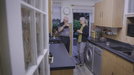 elderly couple conversing in a kitchen
