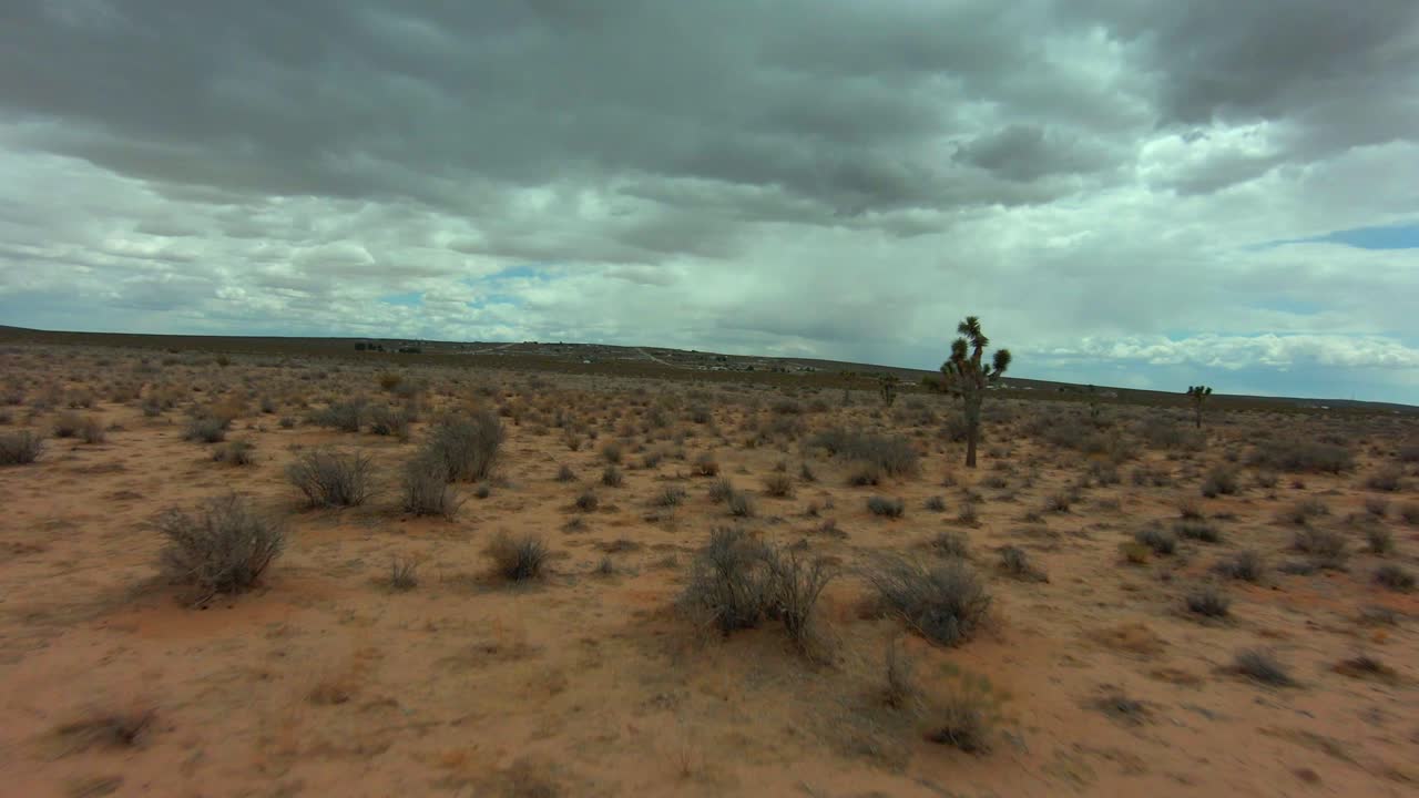 volando entre árboles de joshua en el desierto de mojave en un dron rápido en primera persona