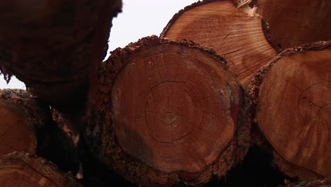 Closeup-Montage-Of-Stacked-Logs-In-A-Lumber-Yard