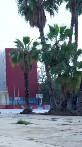 urban park with palm trees and graffiti