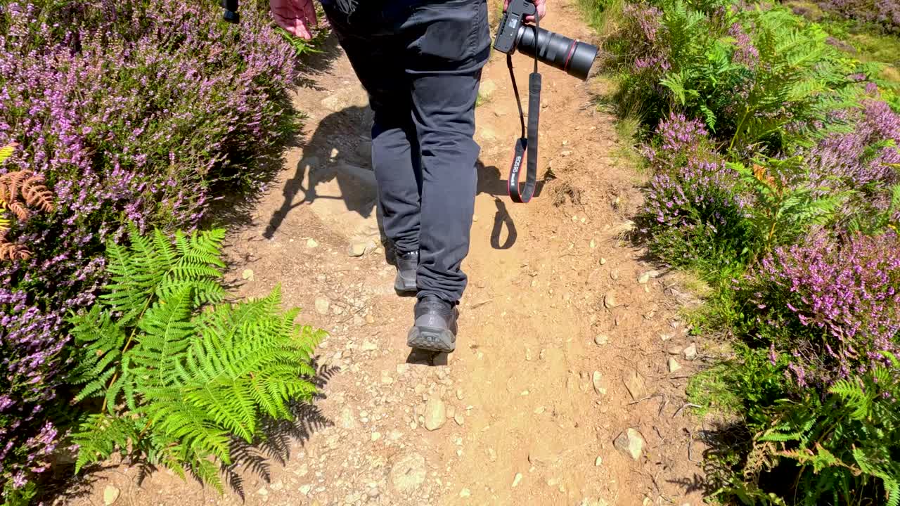 A person carrying a camera walks up a rocky, narrow trail bordered by heather and ferns on a sunny hillside, captured from behind with steady camera movement