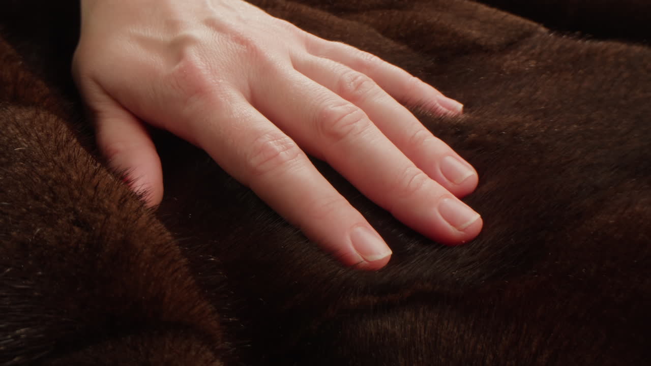 Hand resting on fur