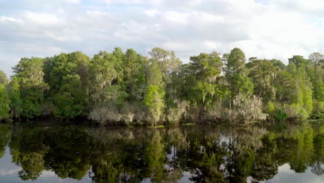 Paisaje-De-Ciprés-Cubierto-De-Musgo-Durante-La-Mañana-En-El-Lago-Quieto