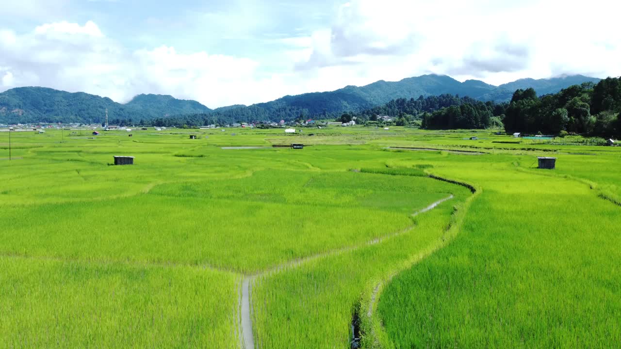 взгляд с воздуха на рисовое поле в аруначал-прадеш