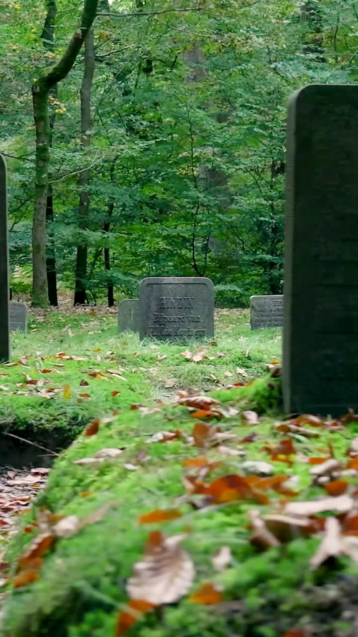Graveyard with Tombstones and Fallen Leaves