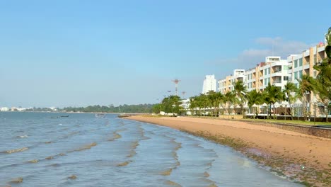 waves gently lap the sandy shore