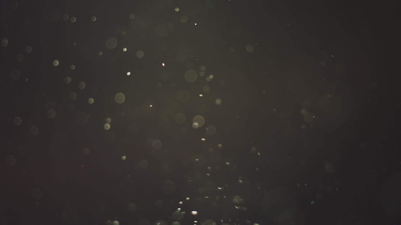 추상적인 보케 배경과 입자