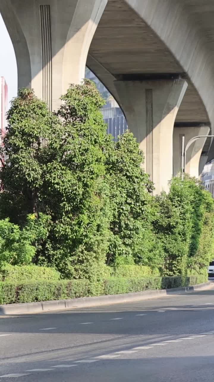 Vegetação sob uma estrutura de ponte de concreto