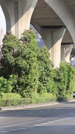 greenery under a concrete bridge structure