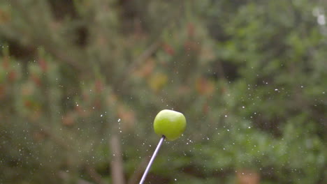 arrow shooting through an apple