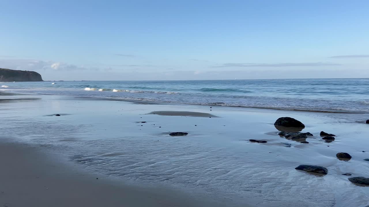 캘리포니아 의 다나 포인트 에 있는 아름다운 해변