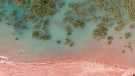 Spektakuläre-Luftaufnahme-Eines-Rosafarbenen-Sandstrandes-In-Broome,-Westaustralien