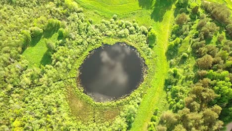 aerial flight from top bottom over an small lake with perfectly round shape.