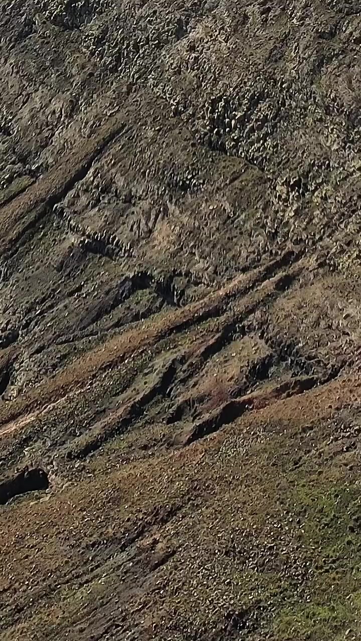 Vista aerea di Fuerteventura che mostra schemi e trame del paesaggio