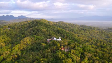 aerial view white chicken-shaped building in the middle of the forest