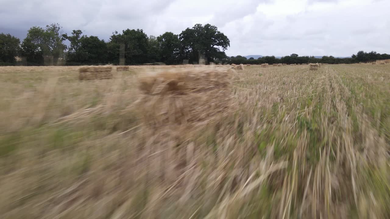 Svepande drönarfilm över fält med nyskuren vete efter skörd i Somerset, England – med höbalar i bakgrunden.