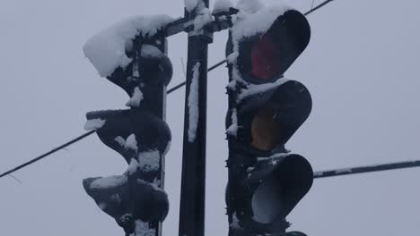 snowy traffic light turns red