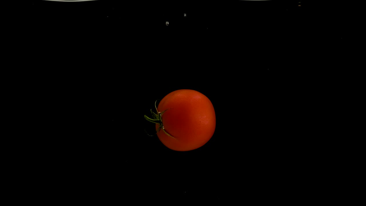 검은 바탕에 물에 떨어지는 토마토. 밝은 고품질 비디오