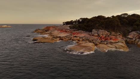 orbit shot of fires bay, iconic orange colored granite rocks, tasmania at sunset, australia