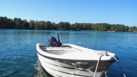 barco flotando en el río azul en el campo