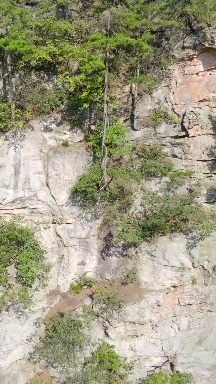 Rock formations with trees