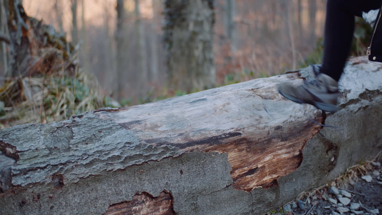 나무 줄기에 신발을 묶는 여자
