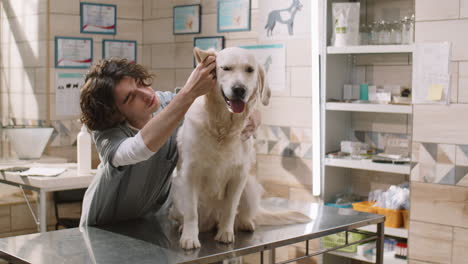 vet examining cute dog in clinic