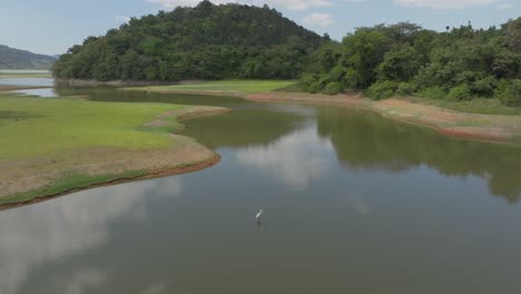 river of aniana vargas natural reserve in sanchez ramirez province of dominican republic