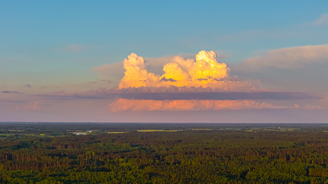 Tall glowing cloud stack rising above flat forest horizon under bright blue summer sky