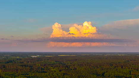 tall glowing cloud stack rising above flat forest horizon under bright blue summer sky