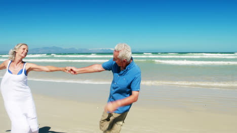 senior couple enjoying together at the beach