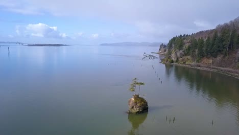 volando por un árbol solitario en una isla rocosa en la bahía con un dron 1080p