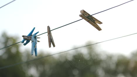 Close-up-of-Clothespin-And-Spiderweb-On-Clothesline