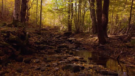 fast low drone shot over small river in autumn-2