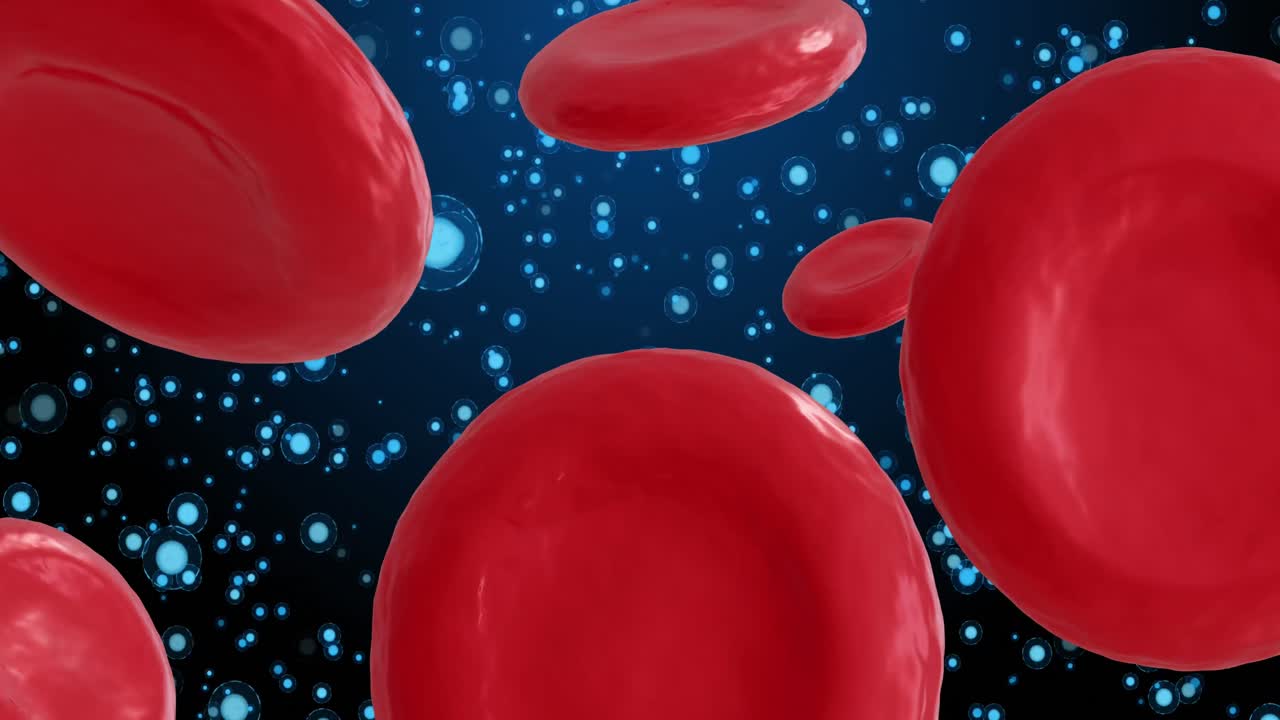 animación de micro de glóbulos rojos en fondo azul