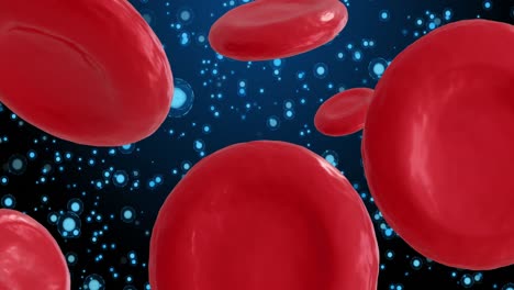 Animation-of-micro-of-red-blood-cells-on-blue-background