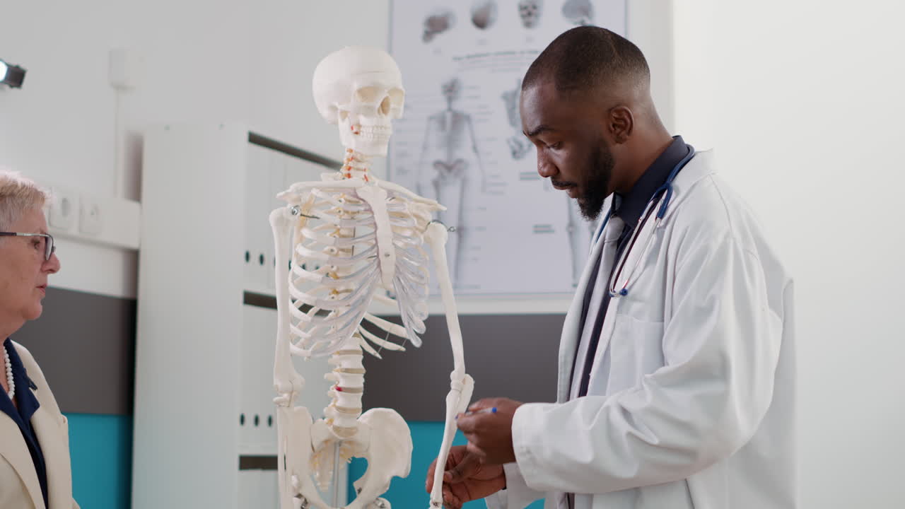 Doctor Explaining Skeleton Anatomy to Patient