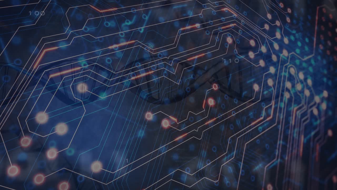 Animation of network of connections over data processing