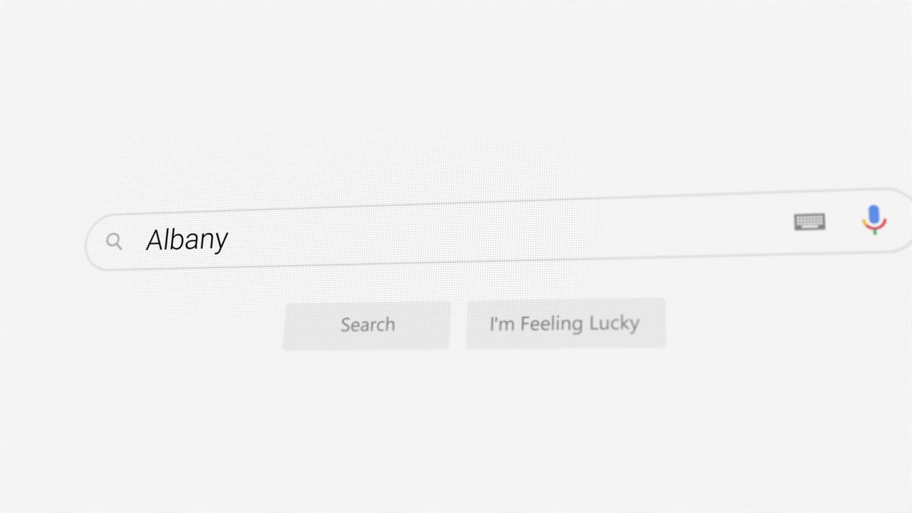 Ricerca di Albany sul browser Internet