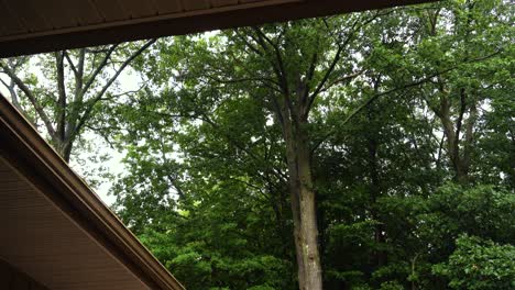 High angle of a roof and forest, showing off the a light summer rain