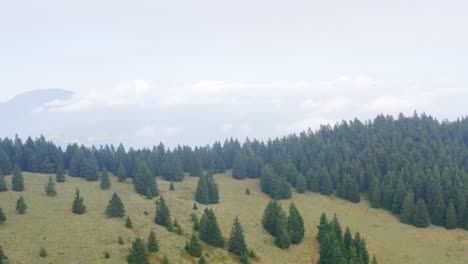 Aerial-view-of-forest-and-layers-of-foggy-mountains