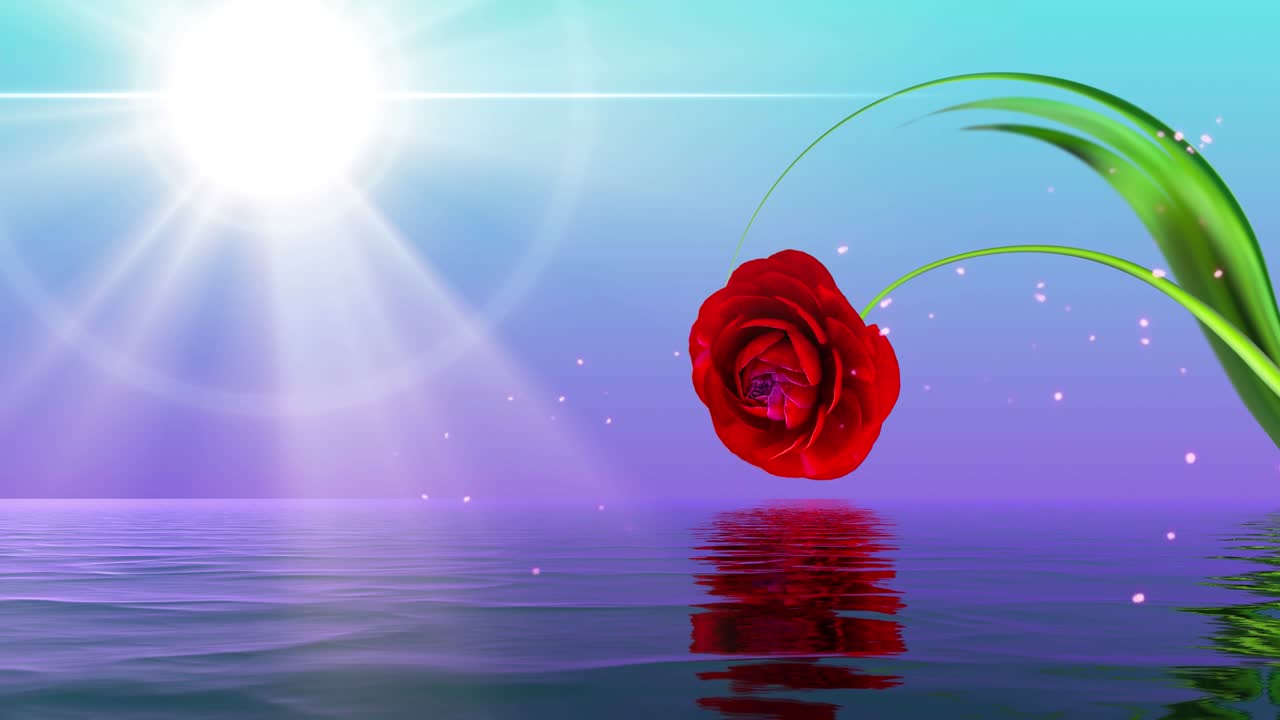 물 표면과 립을 가진 풍경의 시네마그래프.