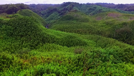 slow forward flight over greened hills and flowing river in beautiful landscape of hawaii