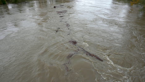 Wood,-brush,-debris-flowing-down-swollen-waters-of-Snohomish-River,-Washington