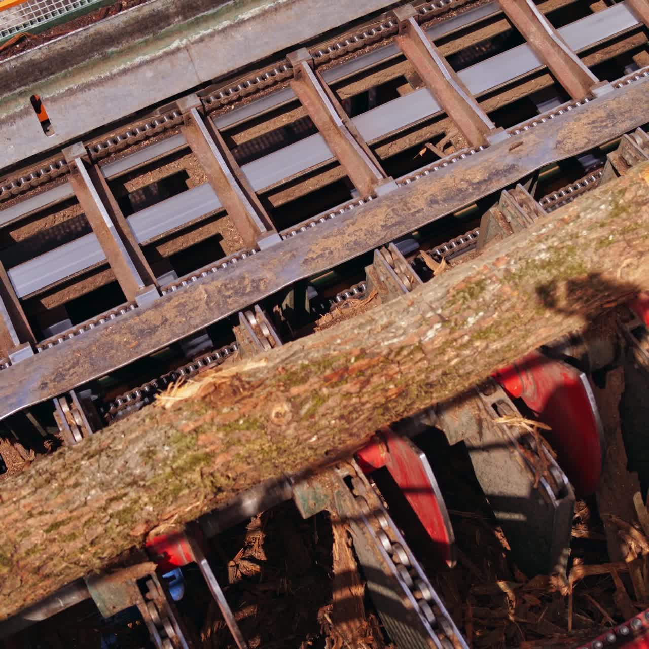 Industrial plant sawmill