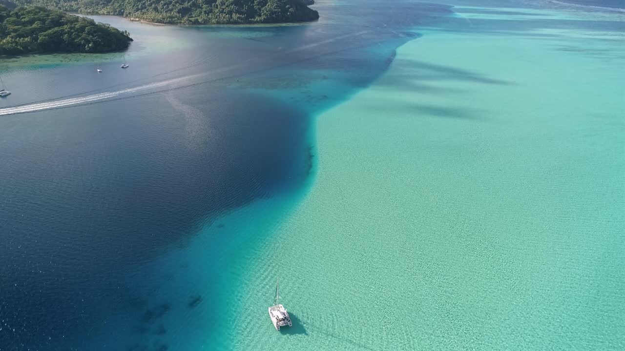 vistas de la vida en la isla