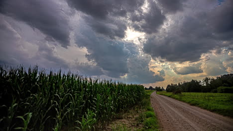 Vibrant-storm-clouds-flowing-above-corn-field,-time-lapse-view