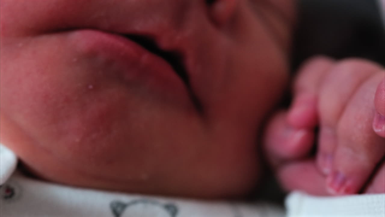 Close up of a newborn baby's tiny hand clenched in soft natural light while resting