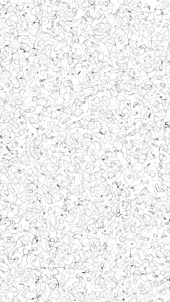 Video verticale di linee nere astratte e ondulate che si muovono su sfondo bianco